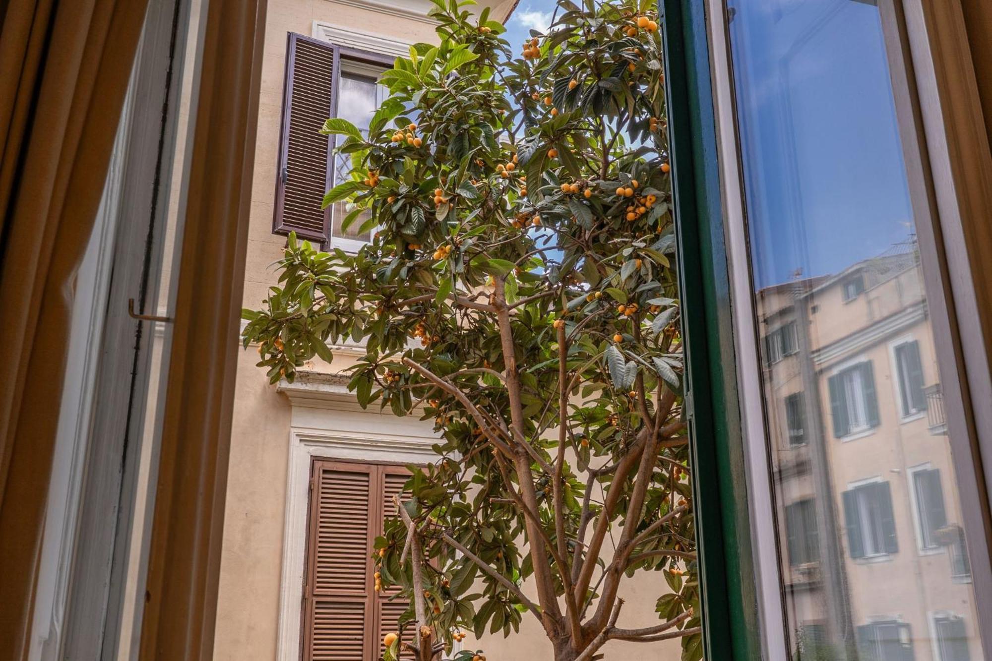 Imperia Guest house Rome